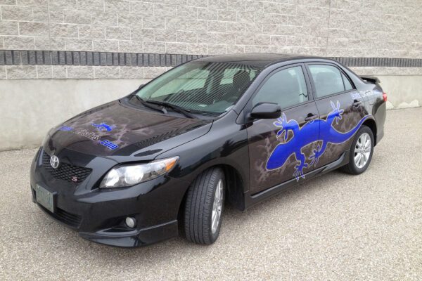 Gecko Websites - 2010 Toyota Corolla